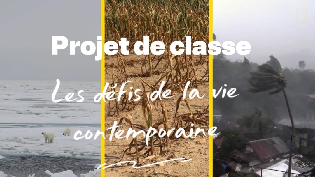 Projet de classe : Les défis de la vie contemporaine